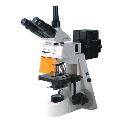 荧光显微镜BM-19AY（三目、落射）