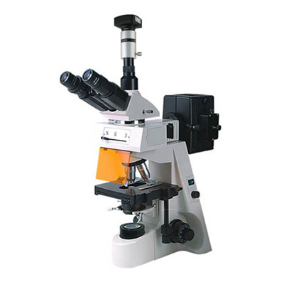 荧光显微镜BM-19AYD（电脑、落射）