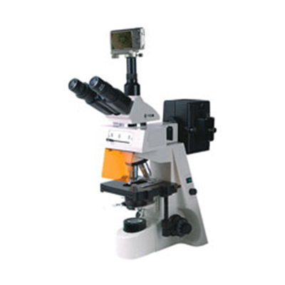 荧光显微镜BM-19AYS（数码、落射）