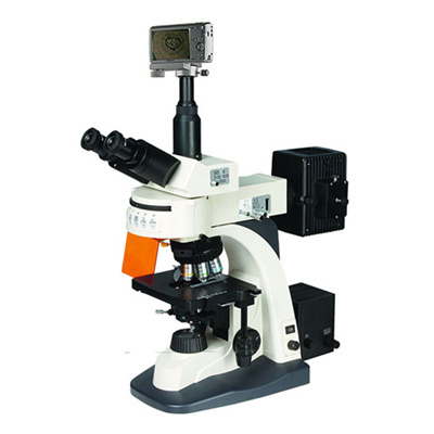 UIS荧光显微镜BM-21AYS（数码、落射）