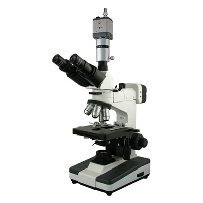 金相显微镜BM-53XCC（电脑、正置）