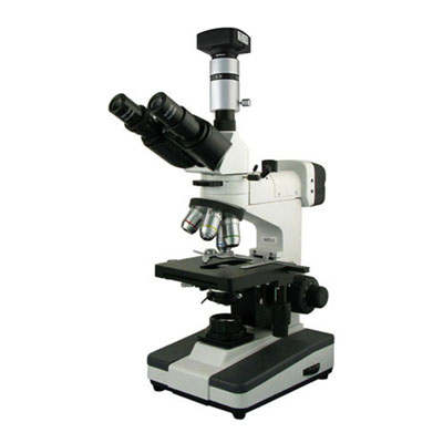 金相显微镜BM-53XCD（电脑、正置）