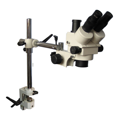 体视显微镜XTZ-E11（三目、支架式）